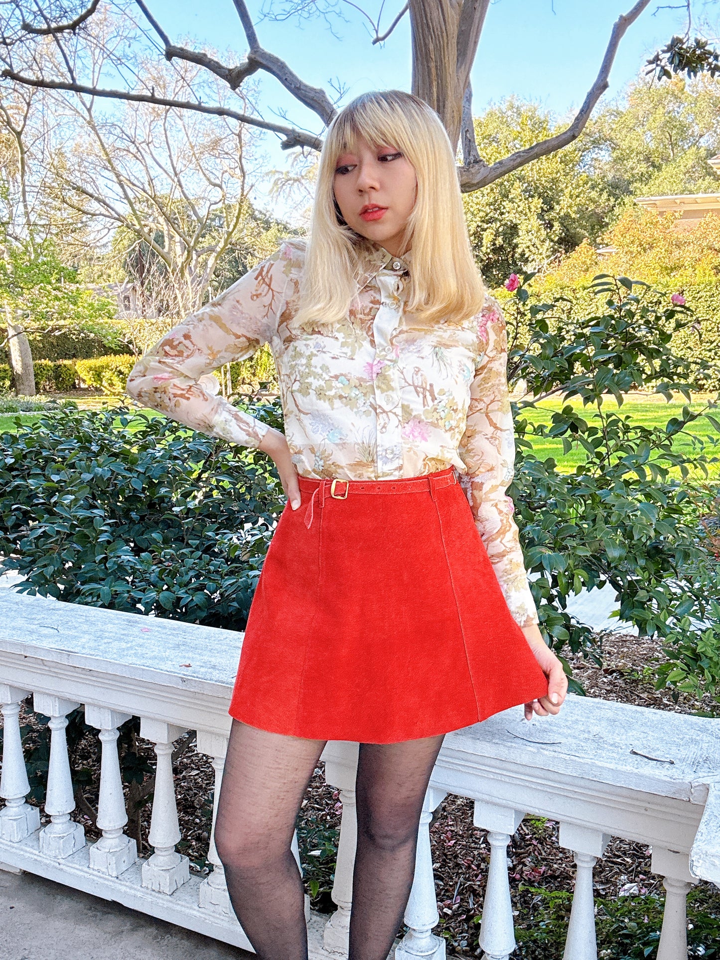 1970s Sheer Novelty Birds on Tree Dagger Collar Button Up Top