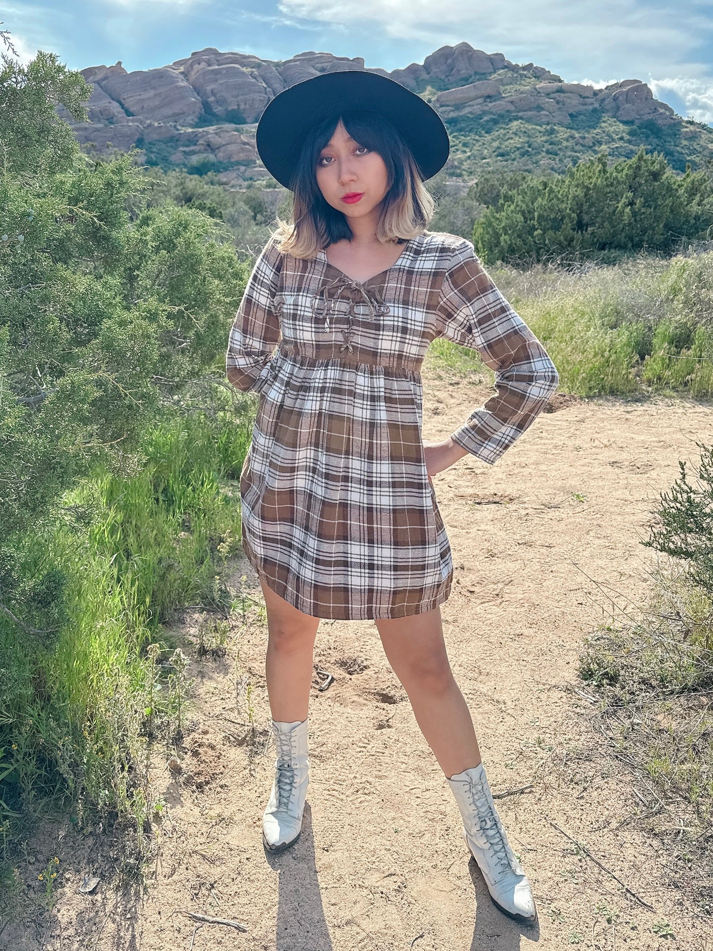 1990s Brown and White Plaid Tie-Up Bodice Dress