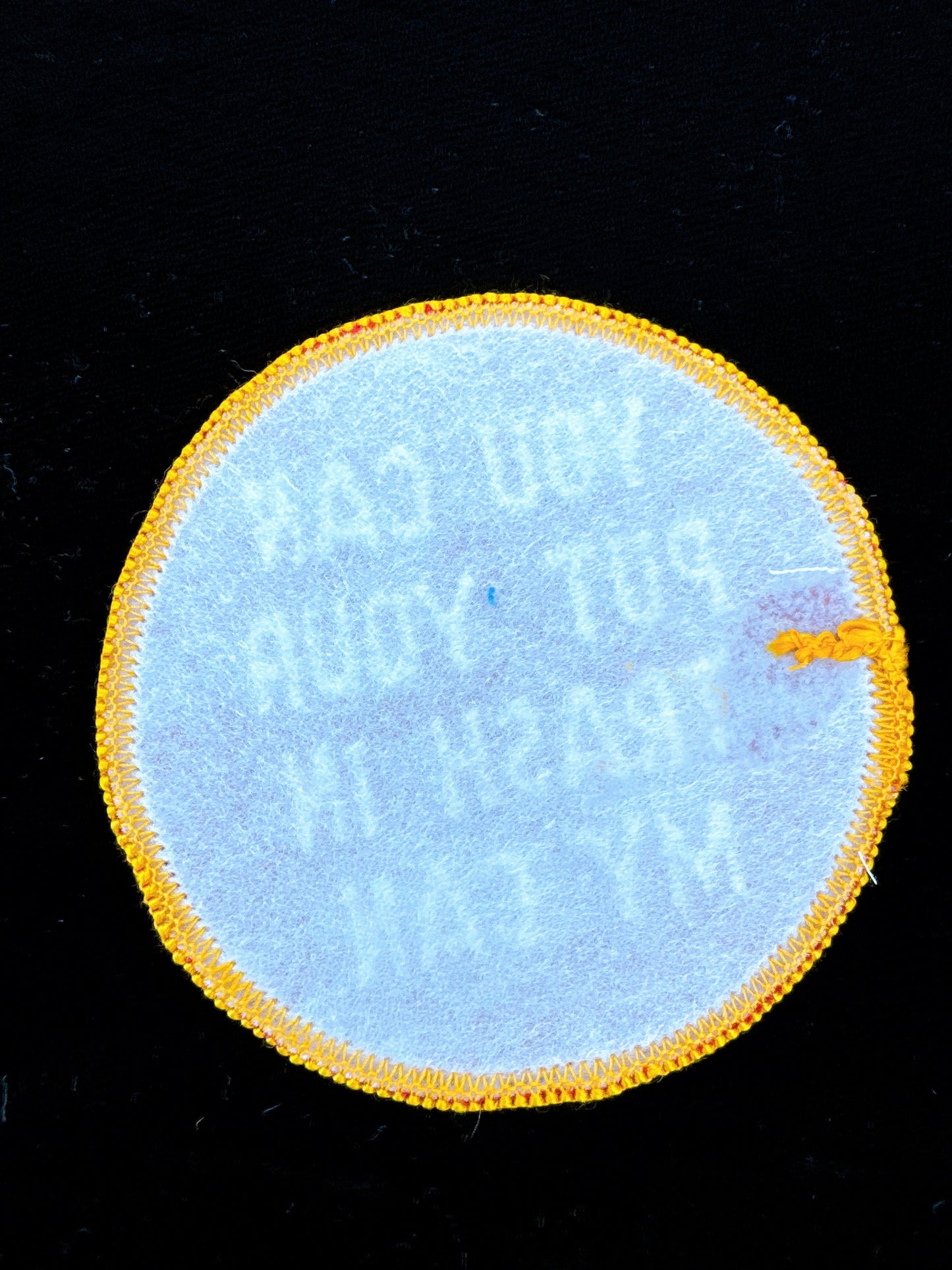 “You Can Put Your Trash In My Can” Embroidered Patch