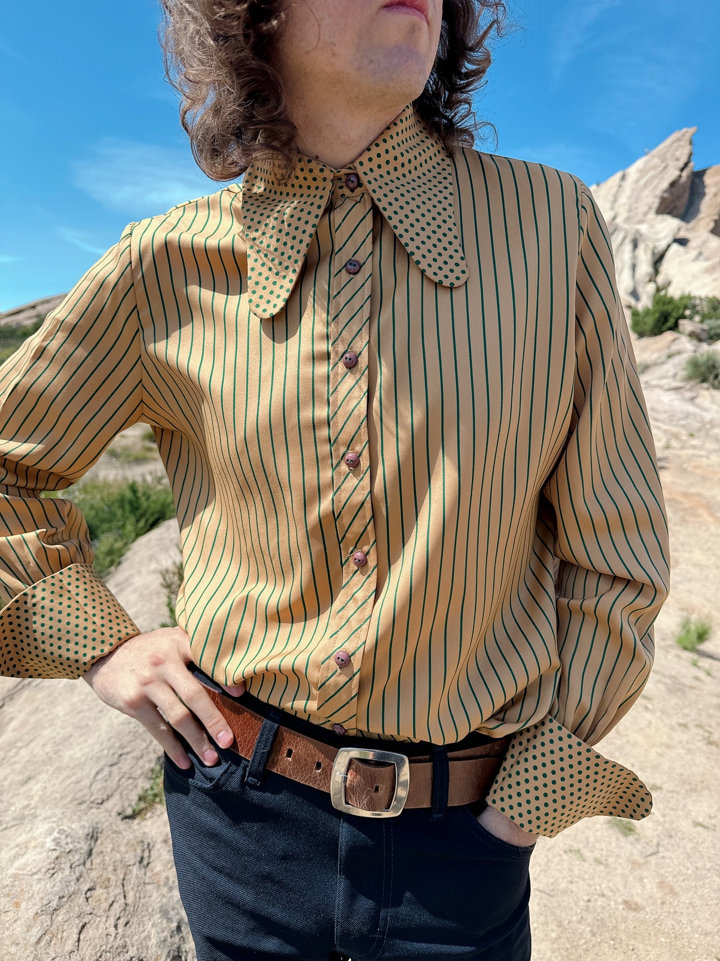 1970s Stripe and Polka Dot Beagle Collar Button Up Top