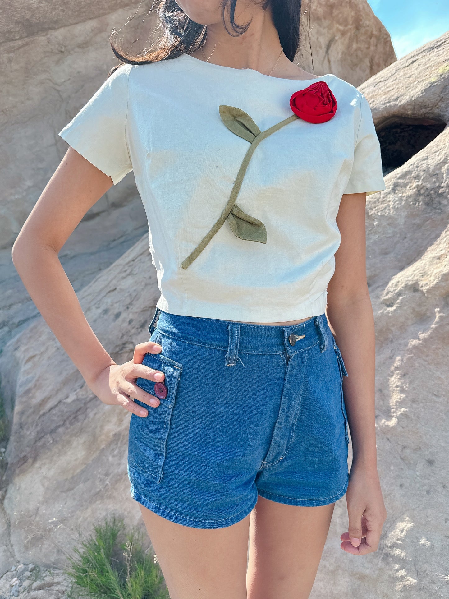 1960s Ramblin’ Rose Novelty Crop Top