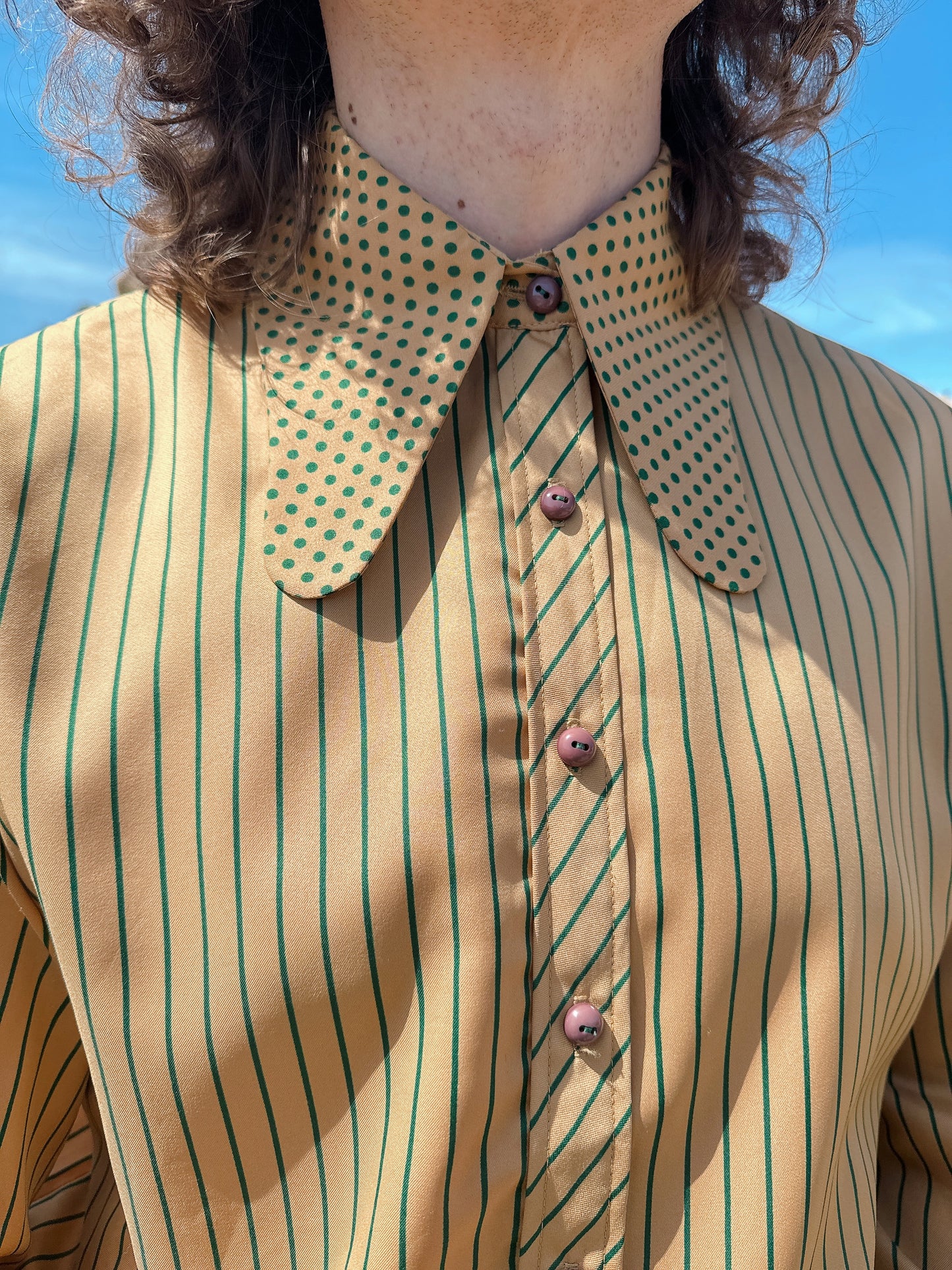 1970s Stripe and Polka Dot Beagle Collar Button Up Top